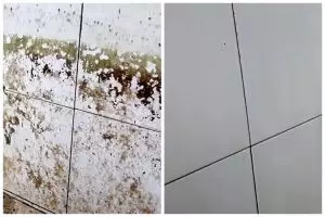 Tanpa digosok kuat, ini cara bersihkan lumut di bak kamar mandi cukup tambah 1 bahan dapur
