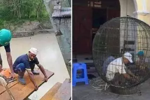 11 Potret kocak tingkah kuli akibat kurang fokus ini bikin ketawa sekaligus geregetan