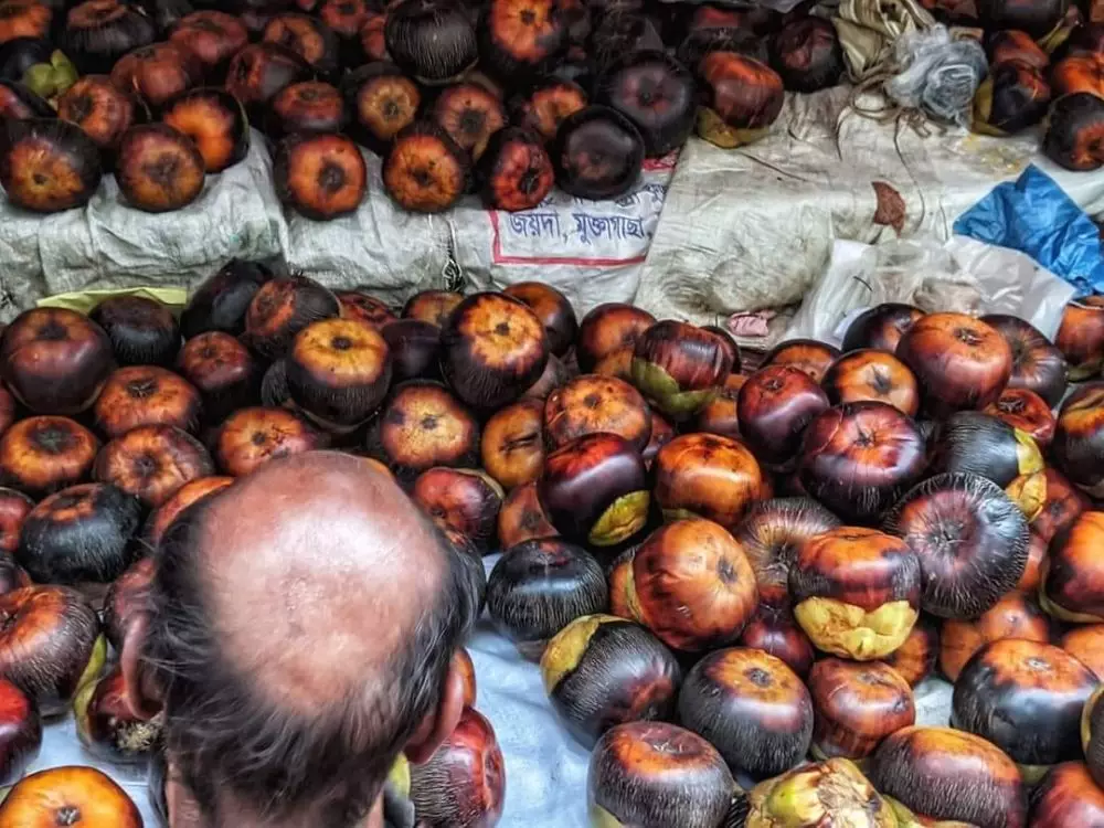 Potret kocak nggak sengaja dijepret kamera freepik.com