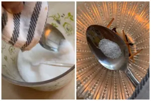 Aksi pria mencoba bakar garam ini bikin tercengang penasaran, endingnya justru nggak habis pikir