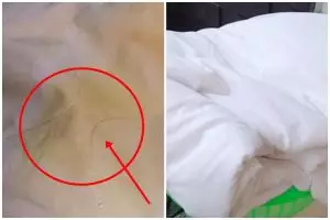 Tanpa pemutih, cara cuci bedcover dekil dan apek agar bersih seperti baru cuma tambah 2 bahan dapur