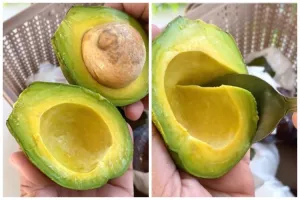 Tanpa diperam beras atau ditusuk lidi, ini trik cepat mematangkan alpukat agar mulus dan tidak busuk