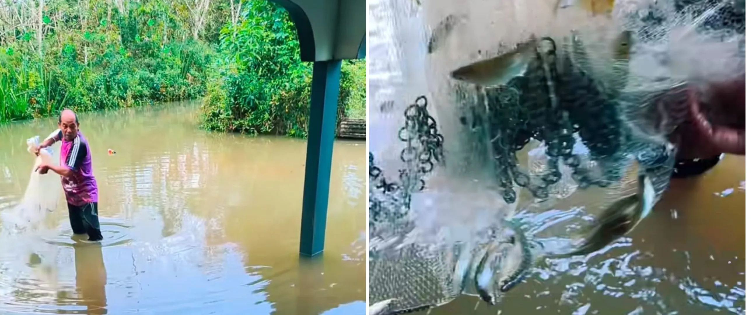 Definisi banjir bawa berkah, momen bapak-bapak panen ikan hasil menjala depan rumah ini jadi sorotan