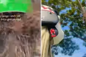 Momen kocak penumpang dapat driver ojek online gondrong, jaga jarak selama perjalanan