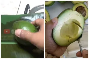 Tanpa diperam beras berhari-hari, ini cara mematangkan alpukat dalam 10 menit agar mulus dan tak hitam