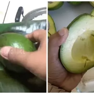 Tanpa diperam beras berhari-hari, ini cara mematangkan alpukat dalam 10 menit agar mulus dan tak hitam