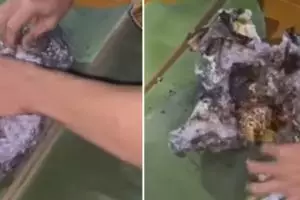 Niatnya biar matang sempurna, momen pria bakar ayam pakai aluminium foil ini endingnya di luar dugaan
