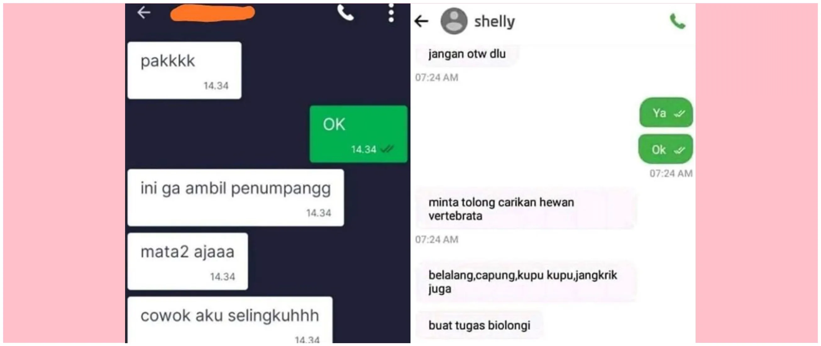11 Chat lucu driver ojek online dapat 'kerjaan sampingan' dari customer ini bikin nggak habis pikir