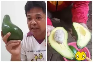 Cara mematangkan alpukat tanpa beras, daging buah mulus dan tak busuk meski pakai 1 bahan sederhana