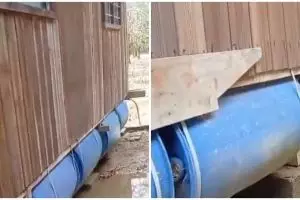 Tak perlu teknologi mahal, cara bikin rumah kayu antibanjir ini trik sepelenya di luar dugaan