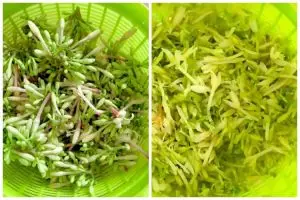 Bukan asam jawa atau daun jambu, ini trik hilangkan rasa pahit bunga pepaya pakai 1 bumbu dapur