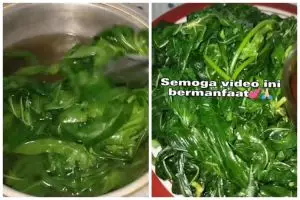 Tetap hijau dan empuk meski tanpa baking soda, ini trik merebus daun singkong pakai 2 bahan dapur