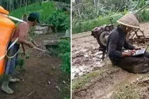 Kreativitasnya tak terbendung, 11 potret kocak kelakuan petani saat ngurus kebun ini bikin cekikikan