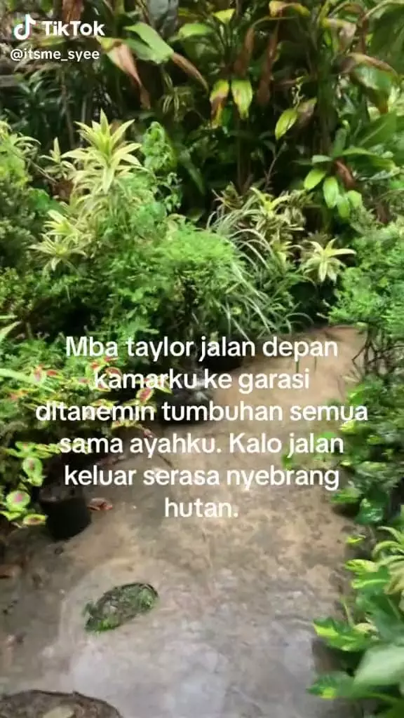 Keluar kamar berasa masuk hutan © TikTok Keluar kamar berasa masuk hutan © TikTok