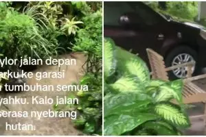 Keluar kamar berasa masuk hutan, rumah bernuansa alam dipenuhi tanaman ini bikin segar mata