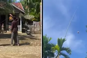 Pengen terhubung internet saat di pedalaman, cara orang cari sinyal ini bikin nggak habis pikir