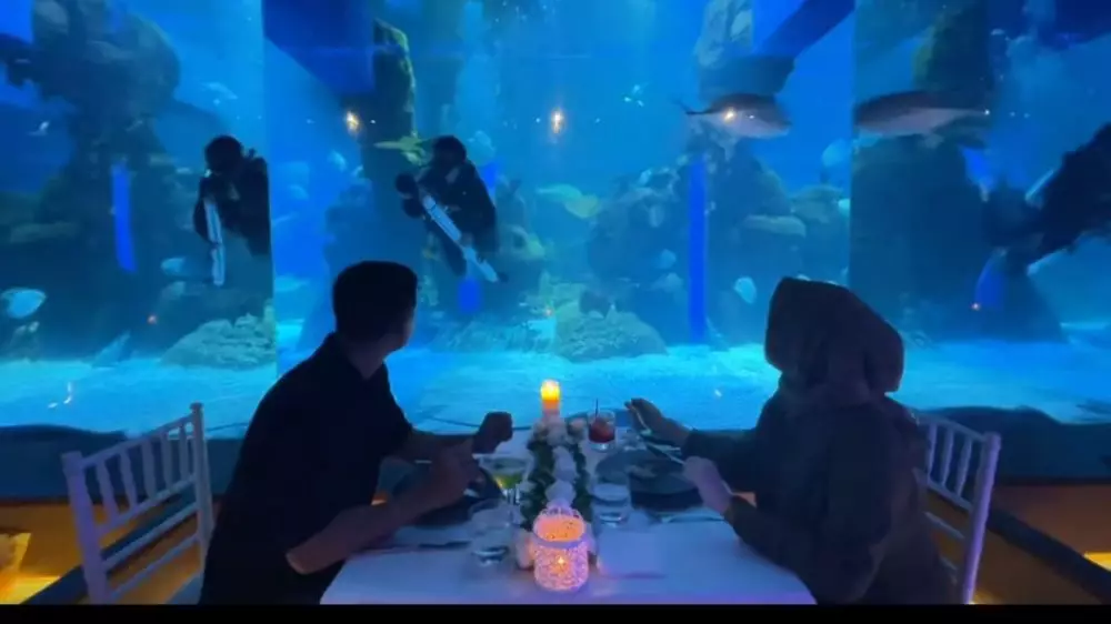 dilamar lewat aquarium © TikTok