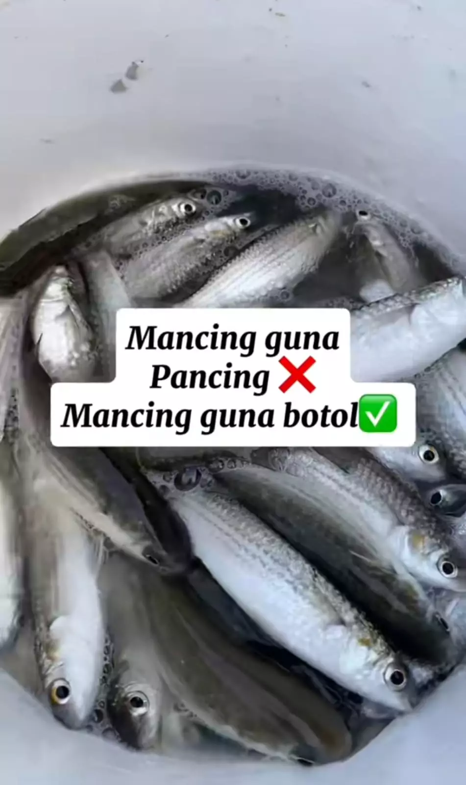 mancing pakai botol © TikTok