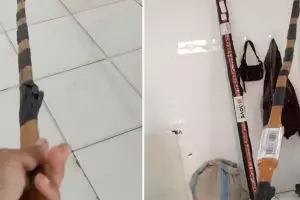 Momen seorang kurir ngomel karena harus mengantar barang tak wajar ini lucu tapi kasihan juga