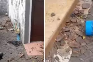 Wanita rekam aksi tetangga yang selalu melempar batu ke rumahnya, kisah dibaliknya bikin geram