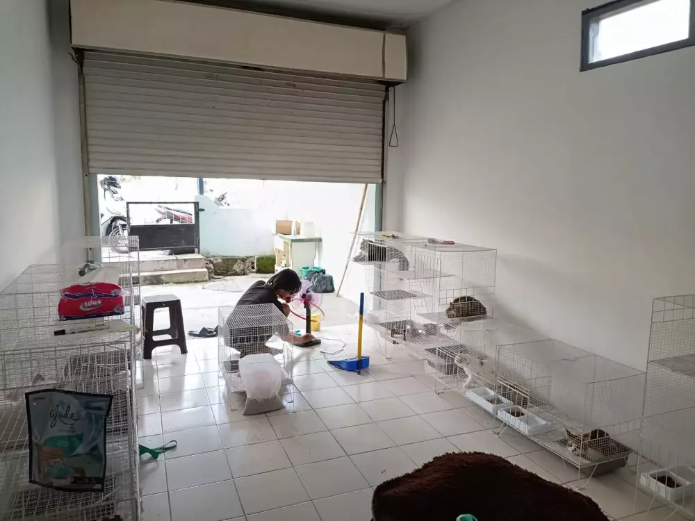 Bingung cari kerja © 2023 brilio.net