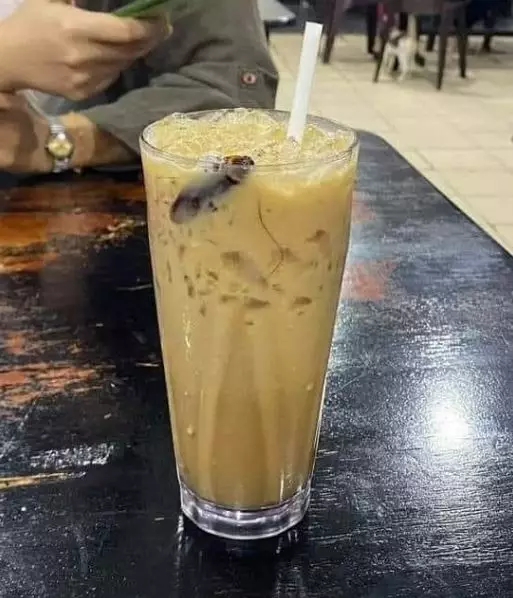 momen apes saat asyik menikmati hidangan Berbagai sumber