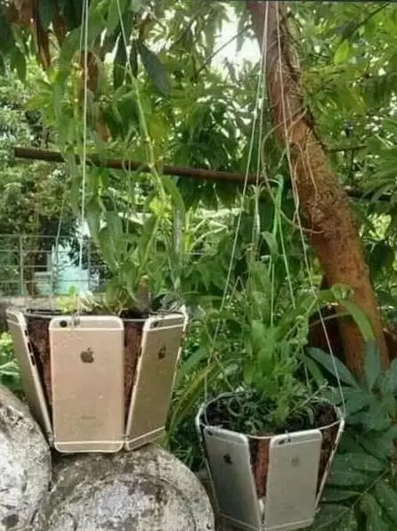 sok kaya nyeleneh berbagai sumber