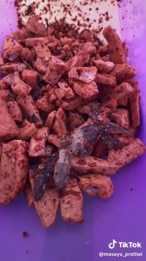 Basreng isi cicak  © TikTok