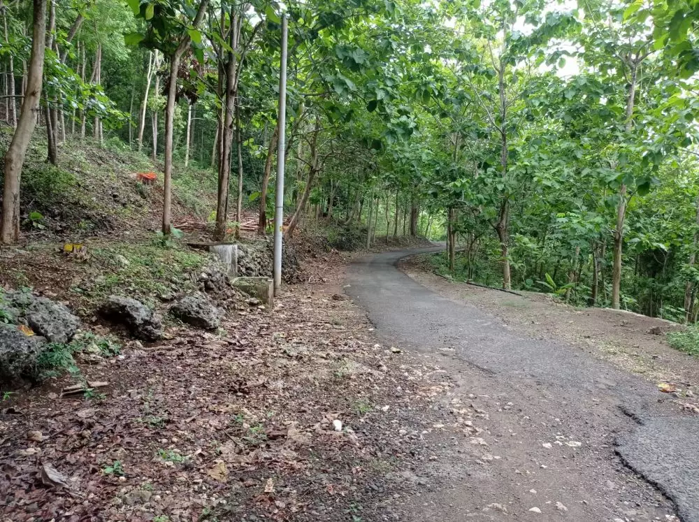 goa cerme sepi © 2024 brilio.net