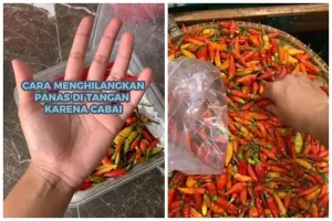 Tak perlu direndam dalam beras, ini cara menghilangkan sensasi panas di tangan akibat terkena cabai