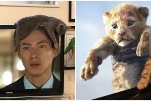 11 Potret kocak kucing di depan TV ini gemesin abis, dari tirukan pose adegan sampai jadi properti