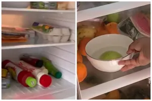 Praktis tanpa dibongkar, ini cara basmi bau tak sedap dan udara lembap di kulkas pakai 1 bahan dapur