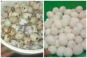 Bukan hanya diberi garam, ini trik rebus telur puyuh agar mudah dikupas cukup tambah 1 bahan dapur
