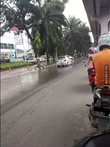 kelakuan orang menghindari hujan Berbagai sumber