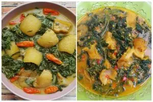 13 Resep olahan daun singkong berkuah paling mudah dibuat, sederhana, dan menggugah selera