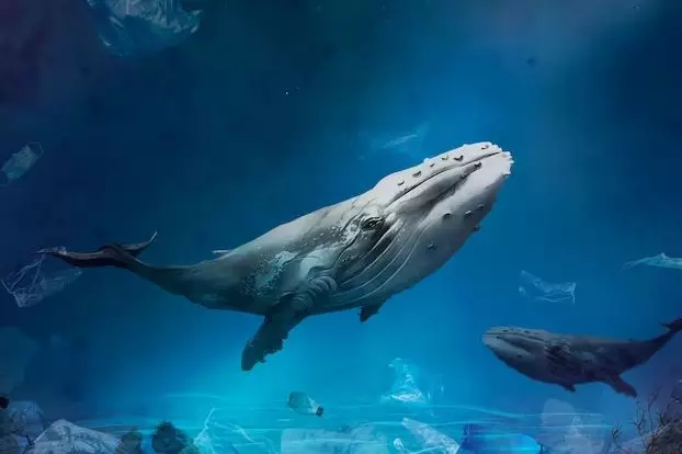 Arti mimpi ikan yang mengejutkan freepik.com