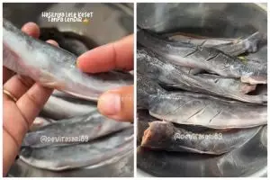 Bukan diolesi garam, ini trik menghilangkan lendir ikan lele agar kesat cuma pakai 1 bahan dapur