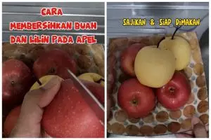 Tak hanya direndam air hangat, ini trik hilangkan lilin di kulit buah apel dan pir pakai 3 bahan dapur