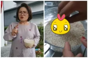 Bukan diberi daun salam atau jeruk, ini cara mengusir kutu beras cukup pakai 1 bahan dapur