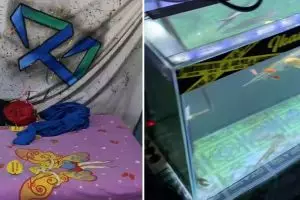 Tidur sekamar dengan banyak hewan peliharaan, penampilan kamar pria ini bikin geleng kepala