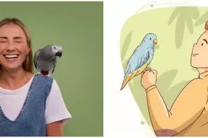 12 Arti mimpi mendapatkan burung menurut primbon Jawa, tak semua bermakna positif