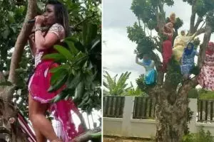 11 Potret kocak tingkah absurd orang di atas pohon ini bikin nggak habis pikir, nyeleneh abis