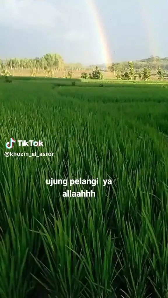 Momen pria kejar ujung pelangi © TikTok Momen pria kejar ujung pelangi © TikTok