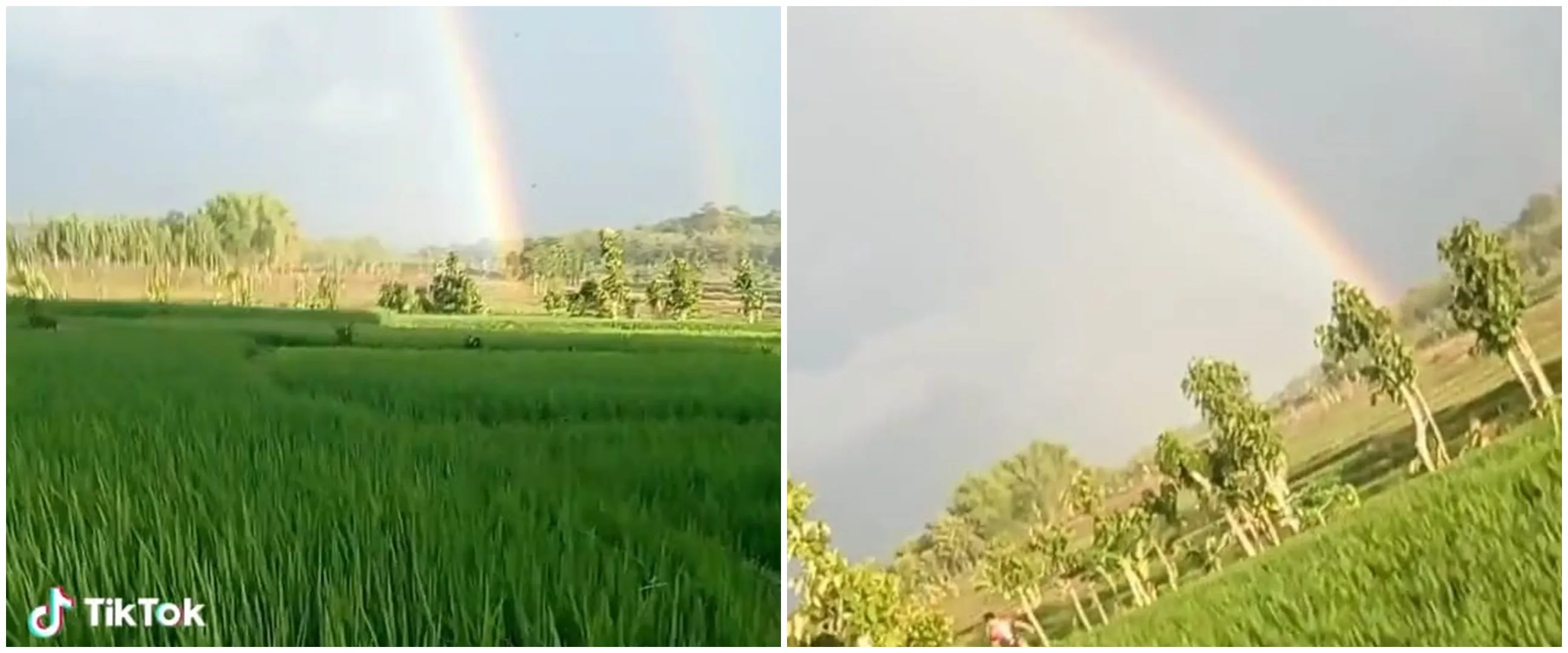 Momen pria ngos-ngosan kejar ujung pelangi ini bikin yang nonton ikutan capek, begini penjelasannya