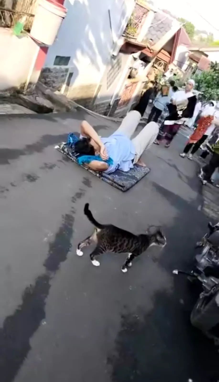 tengah jalan absurd berbagai sumber