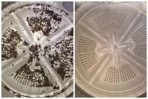 Cara membersihkan mesin cuci wanita ini cuma butuh 2 bahan dapur, tak perlu capek membongkar