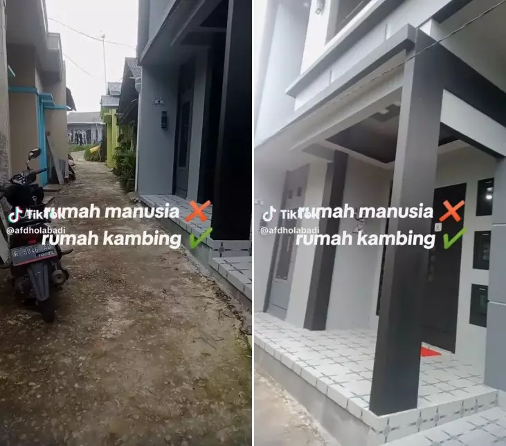 rumah mewah isi domba © TikTok