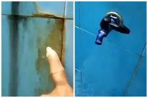 Tanpa perlu digosok, cara pria ini hilangkan kerak di dinding kamar mandi ampuh pakai 1 bumbu dapur