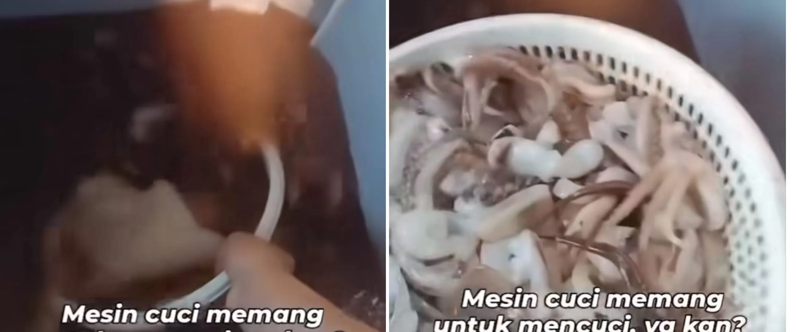 Cara wanita andalkan mesin cuci untuk bersihkan cumi-cumi ini di luar nurul, yang lihat auto melongo
