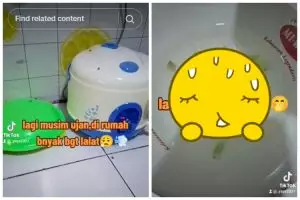 Tak perlu menyalakan lilin, trik wanita mengusir lalat ini ampuh cuma pakai 2 bahan dapur